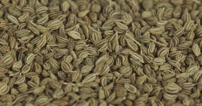 ajowan seeds closeup rotating selective focus 4k 30fps