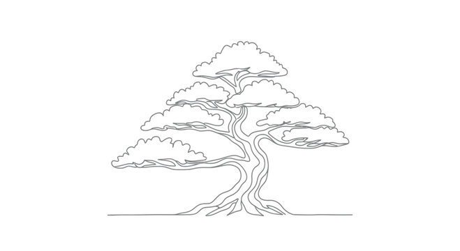 Minimalist line art of a stylized bonsai tree with lush, cloud-like foliage