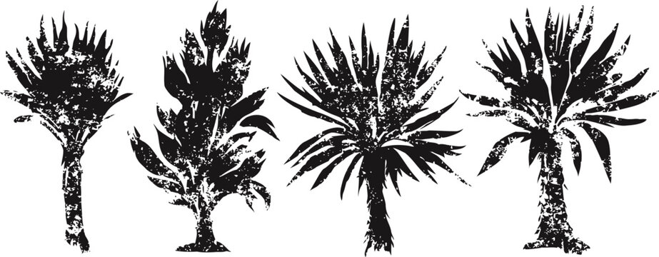 Silhouettes of four distinct palm trees with textured leaves and trunks in black ink