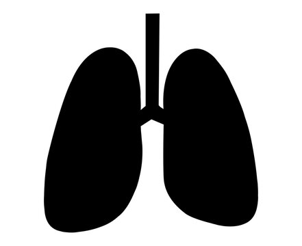 vector illustration of human lungs silhouette


