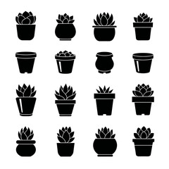 Fototapeta premium The illustration depicts various potted plants arranged in rows on a white background.
