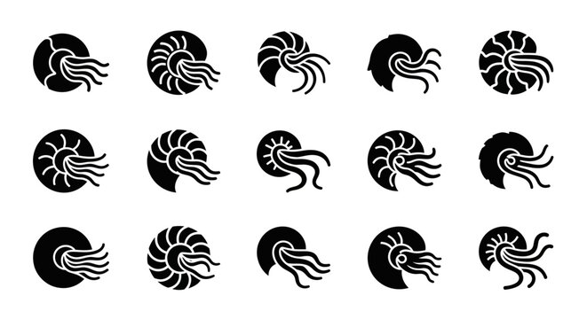 Black nautilus shell icons, nautilus vector set, ocean creature symbols, black and white illustrations, 15 nautilus graphics