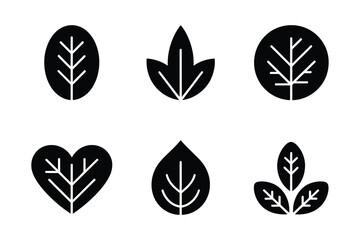 Fototapeta premium Leaf icons: various plant leaf shapes and styles with illustration, environment