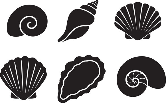 Sea Shell Silhouette Set Black Vector Marine Shell Collection Isolated