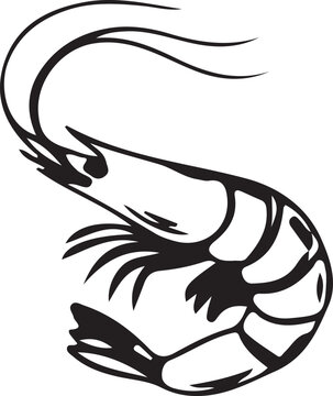Golda Chingri fish vector