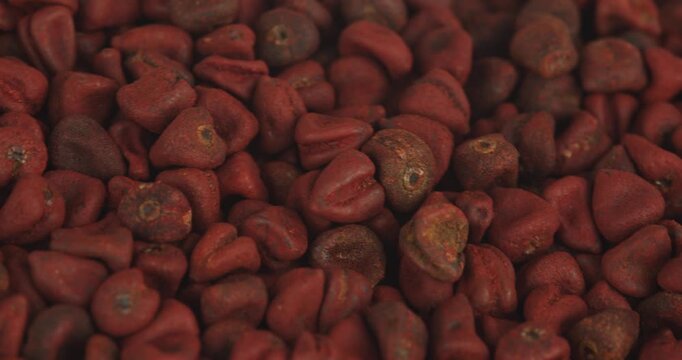 anatto seeds closeup rotating selective focus 4k 30fps