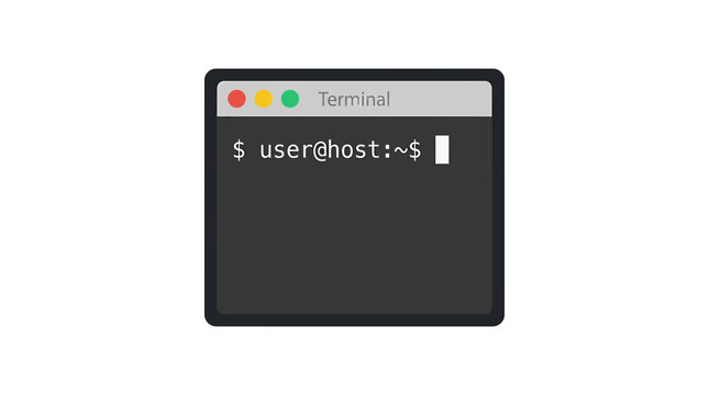 Computer terminal with user prompt.