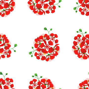 Vibrant red phoenix flower clusters repeat in a seamless pattern isolated on a transparent background