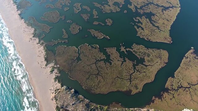 Aerial view of reeds river channels in a coastal delta beside a long sandy beach in Turkey. Summer season, south america, aegean coast, and coastline convey resort tourism appeal.