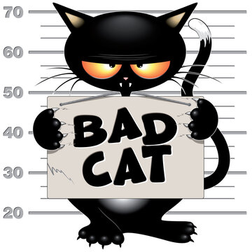 Funny and Upset Cat Mugshot Portrait holding the panel with text "bad cat". Black Cat Meme Vector illustration EPS