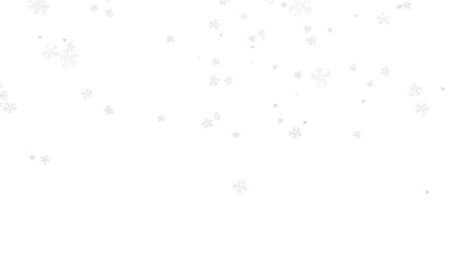 Fototapeta premium Minimalist white star pattern, elegant falling stars background, clean festive holiday texture for winter celebrations and greeting cards isolated on White Background