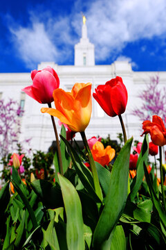 Mormon Latter Day Saints Temple in Pocatello Idaho Religious Worship of God and  Jesus Christ Holy