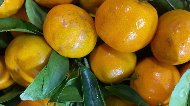 Fresh tangerines with stems and leaves, for sale at market.