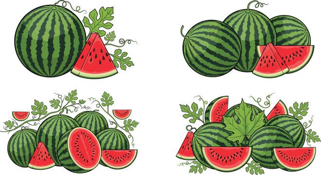 Watermelon Fruit Set with Whole and Sliced Illustrations for Fresh, Healthy, and Tropical Food Designs