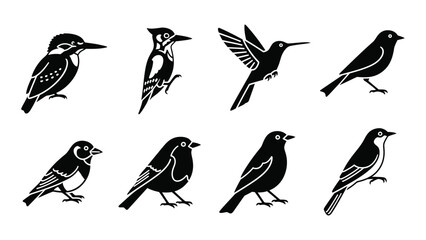 A collection of eight different bird silhouettes in a simple black and white illustration high quality © MD Riad Hossain 