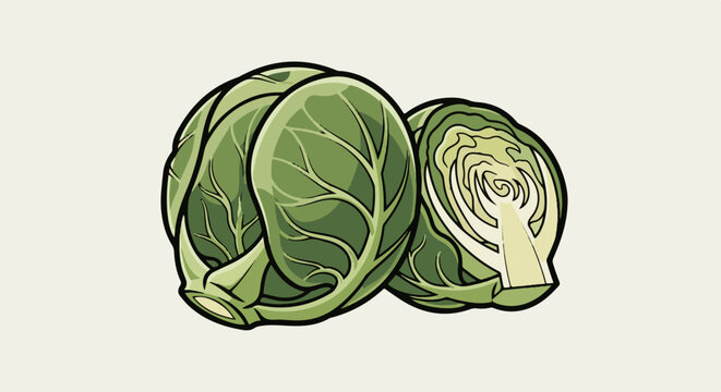 Close-up of two fresh green cabbage halves with detailed leaf veins