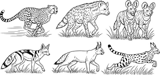 African Carnivorous Wildlife Illustration Set with Cheetahs, Hyenas, Foxes, and Wildcats in the Grasslands © Lcpl