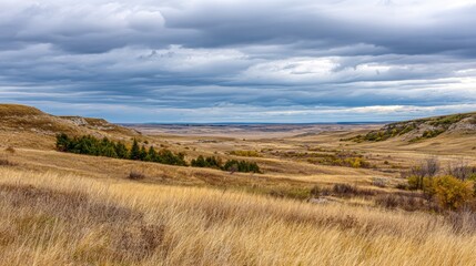 Fototapeta premium Wide prairie valley with golden grass and rolling hills under dramatic cloudy sky. Expansive landscape with natural textures, open horizon and autumn tones in rural countryside