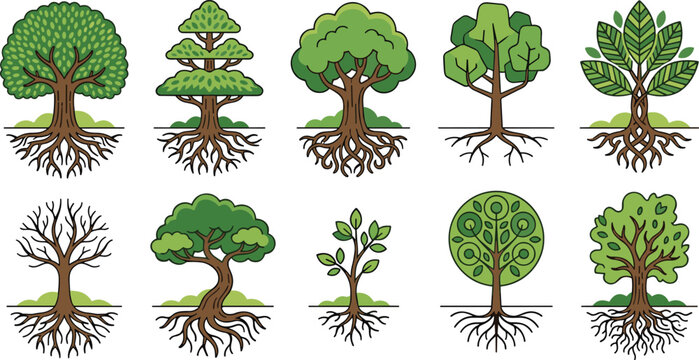 Tree Root System Icon Set Nature Growth Ecology Life Concept Botanical Vector Collection