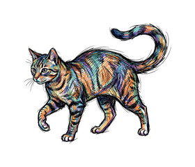 Fototapeta premium Walking domestic cat in three-quarter view with one paw lifted and fluid motion emphasized through flexible spine and tail