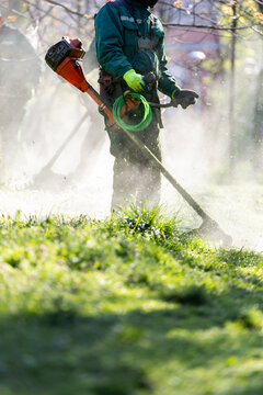 Team of Professional Gardeners Maintaining Large Public Green Space