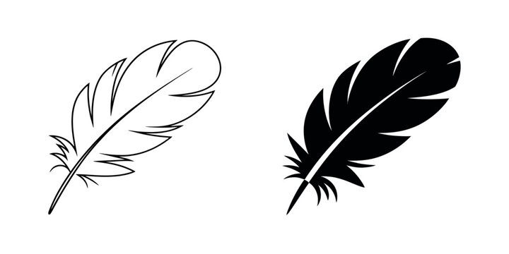 Feather icon modern vector illustration bird feather symbol outline and filled style design isolated on transparent background