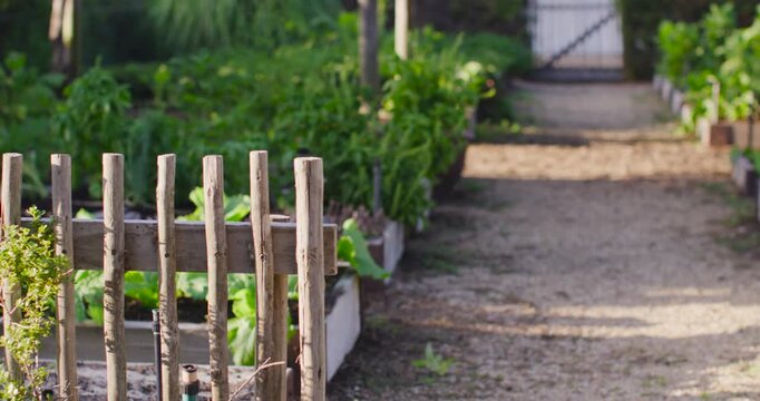 Camera pulling back, shifting right, revealing beds and picket fence, framing gravel path and gate