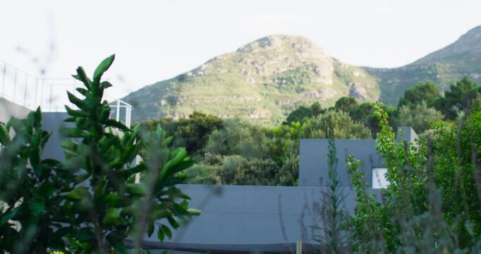 Camera shifting framing and focusing, revealing green shrub left, tree, grey wall, peak, copy space