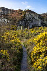 Fototapeta premium spring time walking around Holyhead Breakwater park