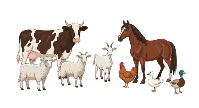 Illustrated farm animals including a cow, horse, goats, sheep, chicken, goose, and ducks are grouped together on a white background in a cartoon style with vibrant coloring and simple