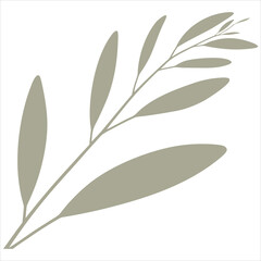 Obraz premium A minimalist illustration of an olive branch on a white background