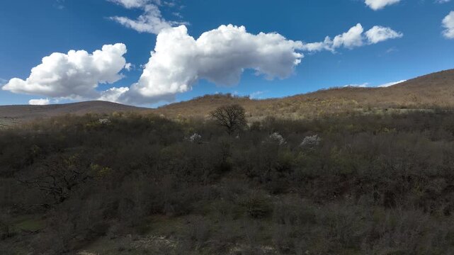 Aerial view of a massive mountain covered in dense leafless forest during spring under a blue sky with scattered clouds, featuring a narrow dirt road at the base.