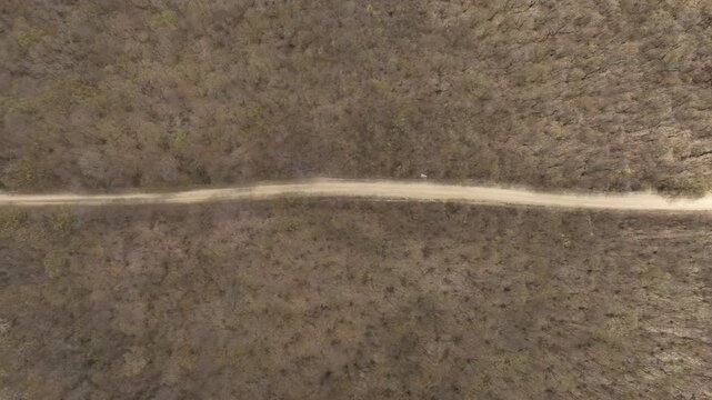 Aerial view of a massive mountain covered in dense leafless forest during spring under a blue sky with scattered clouds, featuring a narrow dirt road at the base.