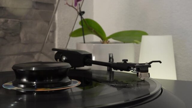 Turntable stylus playing vinyl record
