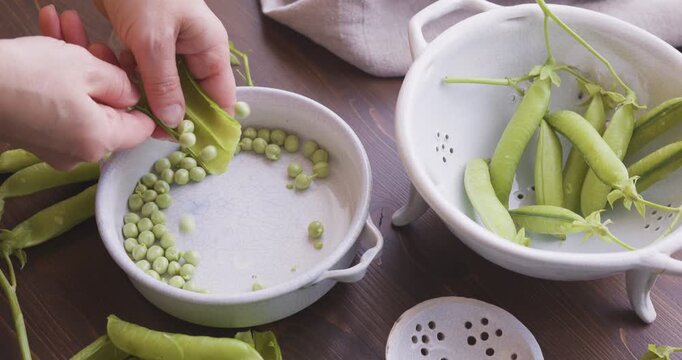 Anonymous person shelling fresh organic green peas into ceramic bowl on wooden table. Close-up shot features hands opening pea pod highlighting seasonal harvest and healthy farm-to-table nutrition