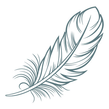 A delicate teal colored illustration depicts a single feather showcasing intricate barbules and a streamlined quill suggesting lightness and freedom high quality