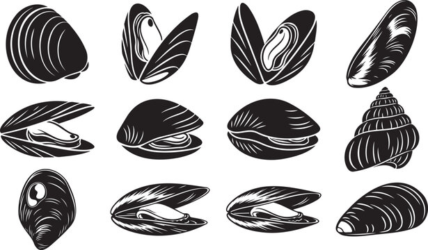 Monochrome illustration of various mussel shells in different orientations. Mussel shell Vector illustration.