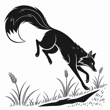 Fox jumping in grass jumping fox wildlife animal black and white