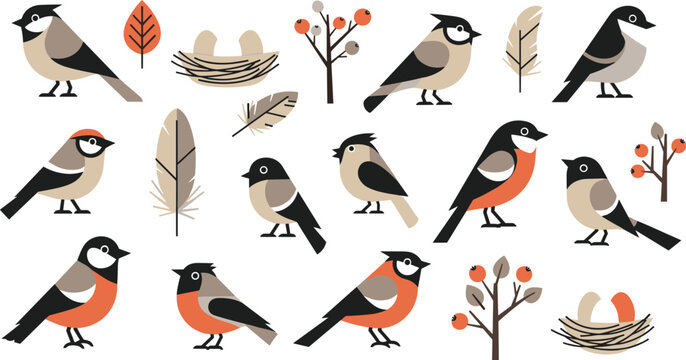 Cute forest bird vector collection featuring bullfinch birds, nests, feathers and branches in flat cartoon style illustration set