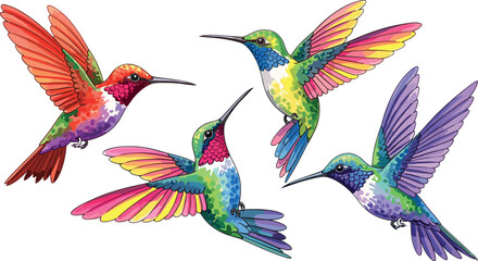 Obraz premium Colorful hummingbird collection with vibrant feathers flying birds tropical wildlife illustration detailed vector set isolated background