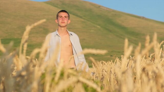 Young handsome boy slowly walks in field of ripe wheat ears at sunset with unbuttoned shirt. Slim attractive teenager in jeans and unbuttoned shirt. Beautiful people in nature.