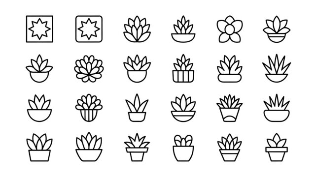 Assorted stylized potted succulent and cactus plants in black and white Vector