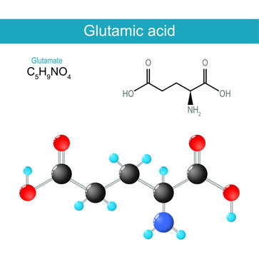 lutamic acid molecule. Molecular chemical structural formula and model of Glutamate