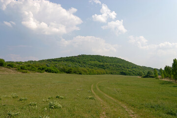 Fototapeta premium Path by green hill, cloudy sky