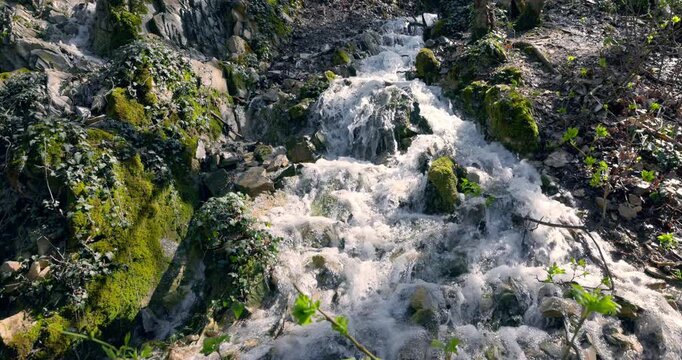 Cascade waterfall in spring forest