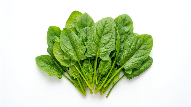 Fresh spinach leaves, green vegetable, healthy food, leafy greens, bunch of spinach
