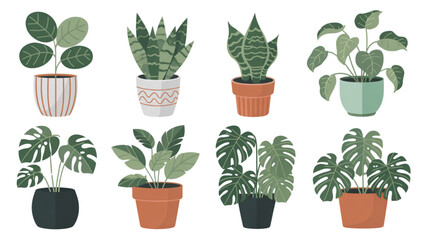 Fototapeta premium Assorted potted plants displayed in a variety of containers for indoor decoration Vector