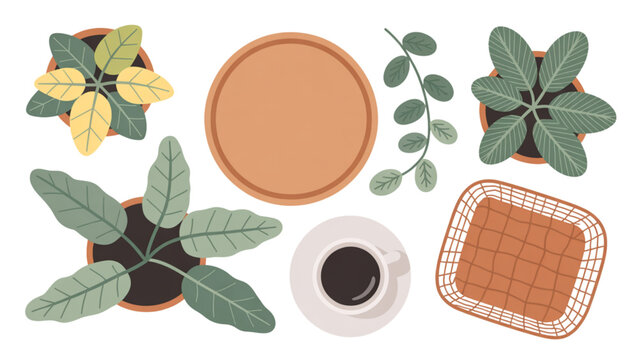 Assorted dried herbs and spices including rosemary, thyme, and dried orange slices Vector