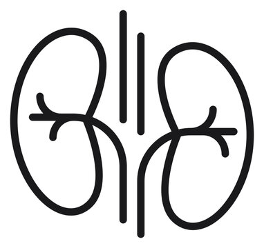 Minimalist black vector icon illustration of human kidneys and renal system, representing urology, internal organ anatomy, and healthcare, isolated on a white background for medical design.