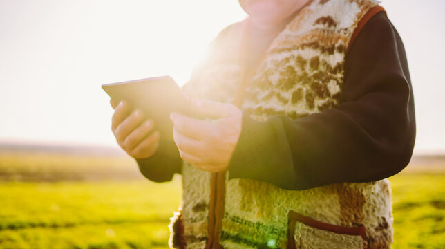 Experienced agronomist holds young plant and digital tablet in green agricultural field. Farmer checks quality of seedling with a tablet at sunset. Concept of ecology, agriculture, and control.